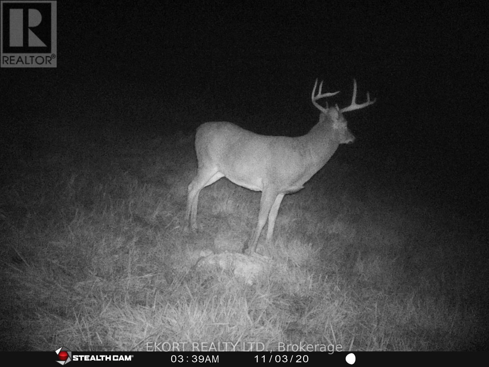 309 Vanderwater Road, Tweed (Hungerford (Twp)), ON