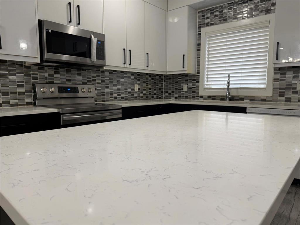 443 Wales Avenue, Winnipeg, MB - Indoor Photo Showing Kitchen With Double Sink With Upgraded Kitchen