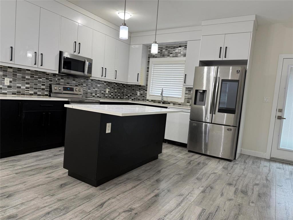 443 Wales Avenue, Winnipeg, MB - Indoor Photo Showing Kitchen With Double Sink With Upgraded Kitchen