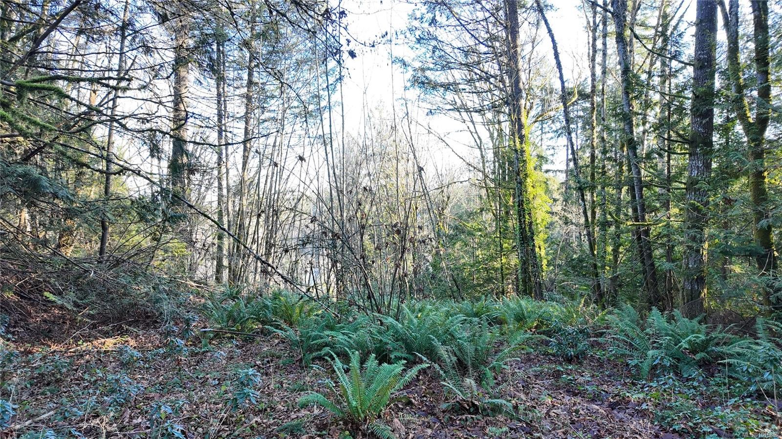 Lot 1 Banks Rd, Duncan, BC