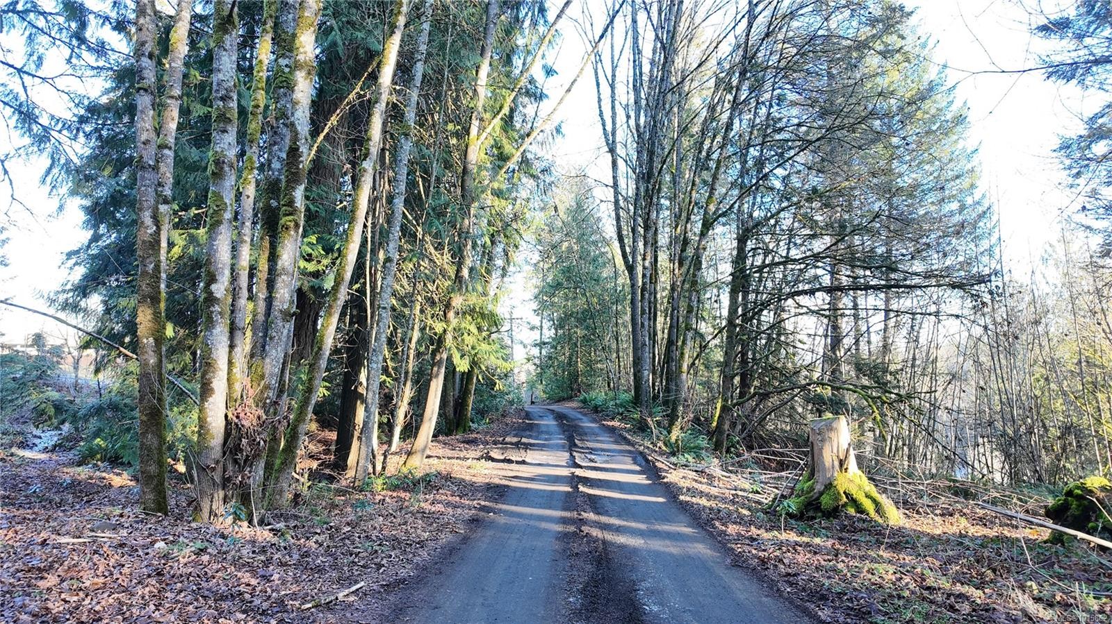 Lot 1 Banks Rd, Duncan, BC