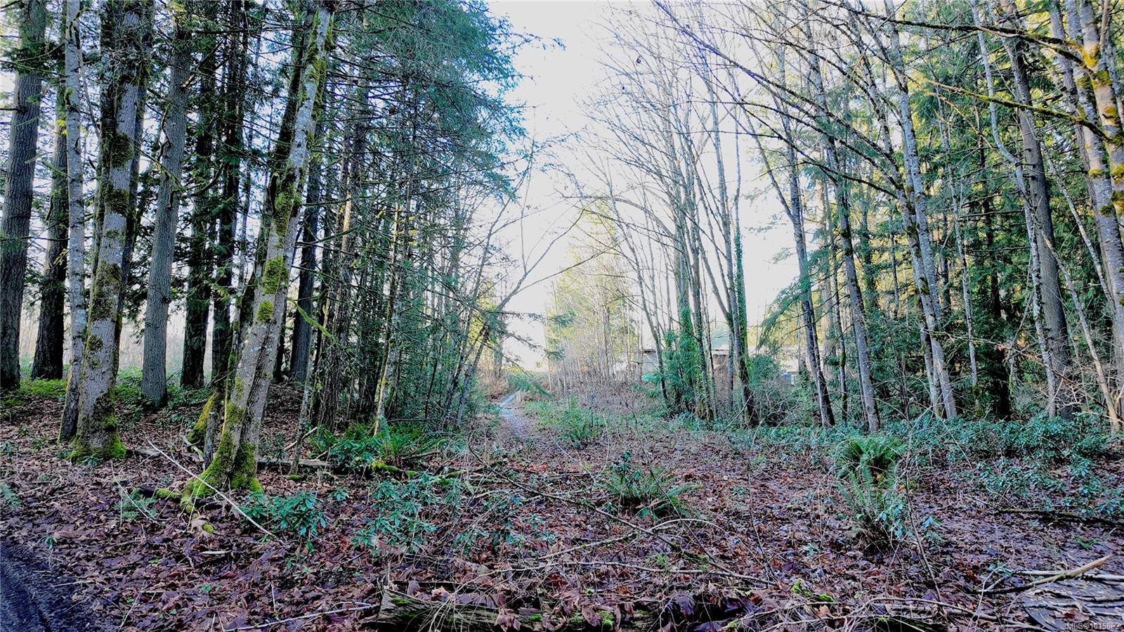 Lot 1 Banks Rd, Duncan, BC