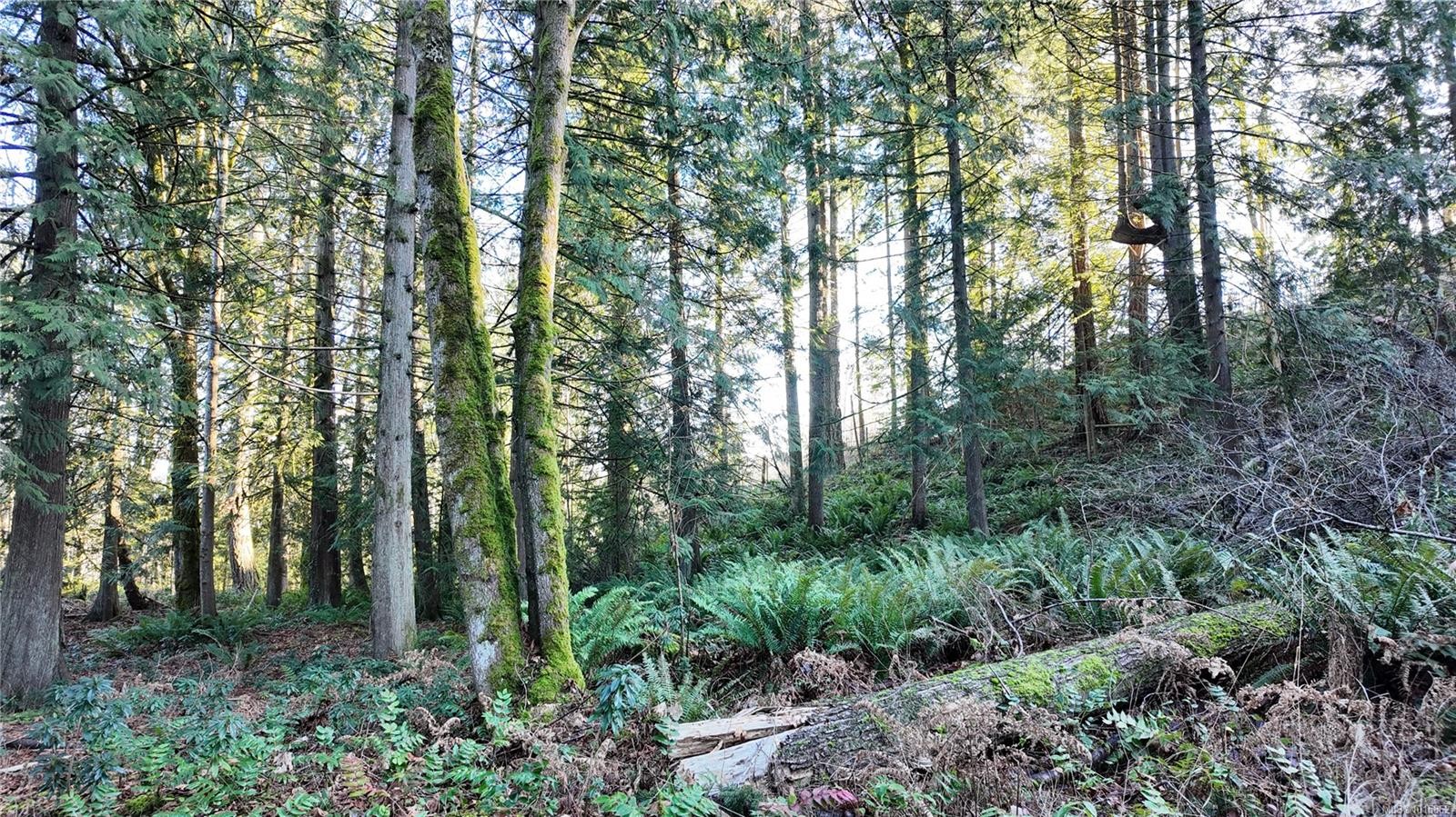 Lot 1 Banks Rd, Duncan, BC