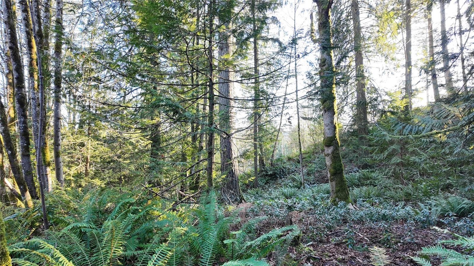 Lot 1 Banks Rd, Duncan, BC