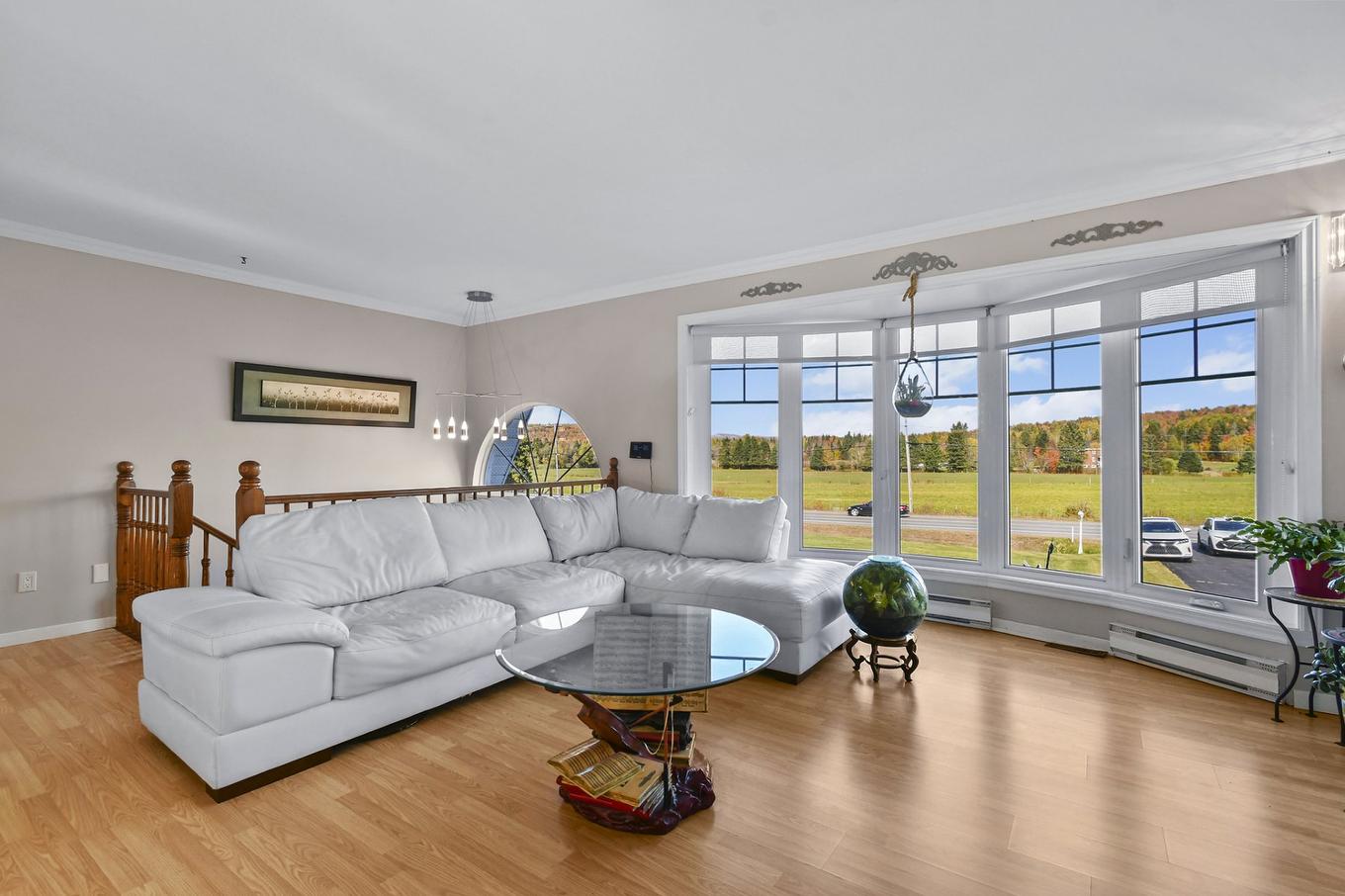 Salon - 131 Rg St-Pierre, Saint-Jean-De-Matha, QC - Indoor Photo Showing Living Room