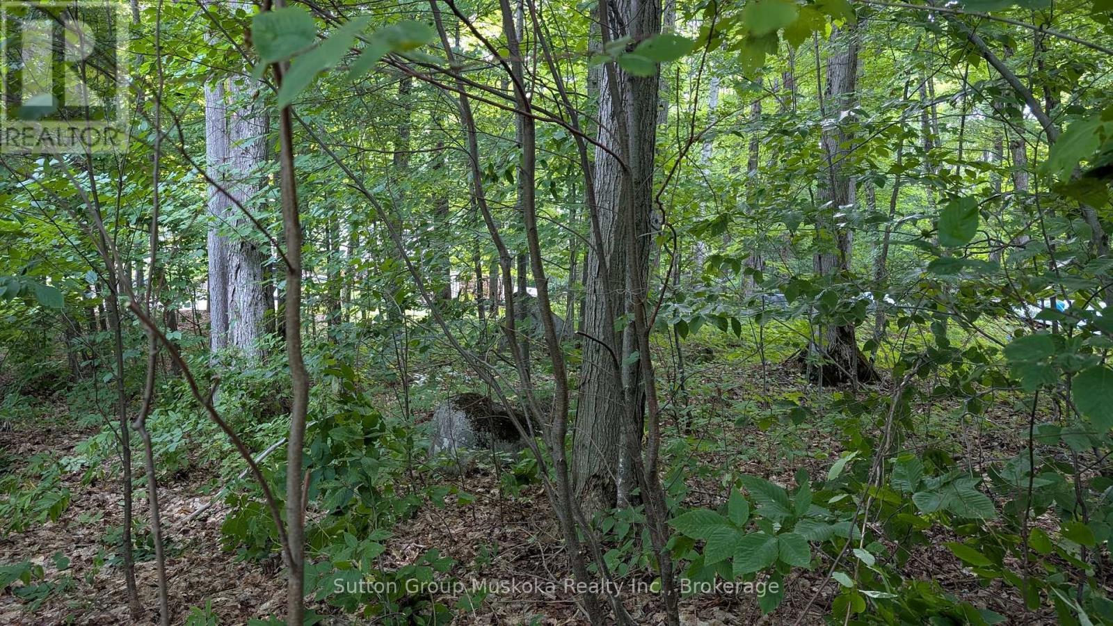 837 Aspdin Road, Huntsville (Chaffey), ON