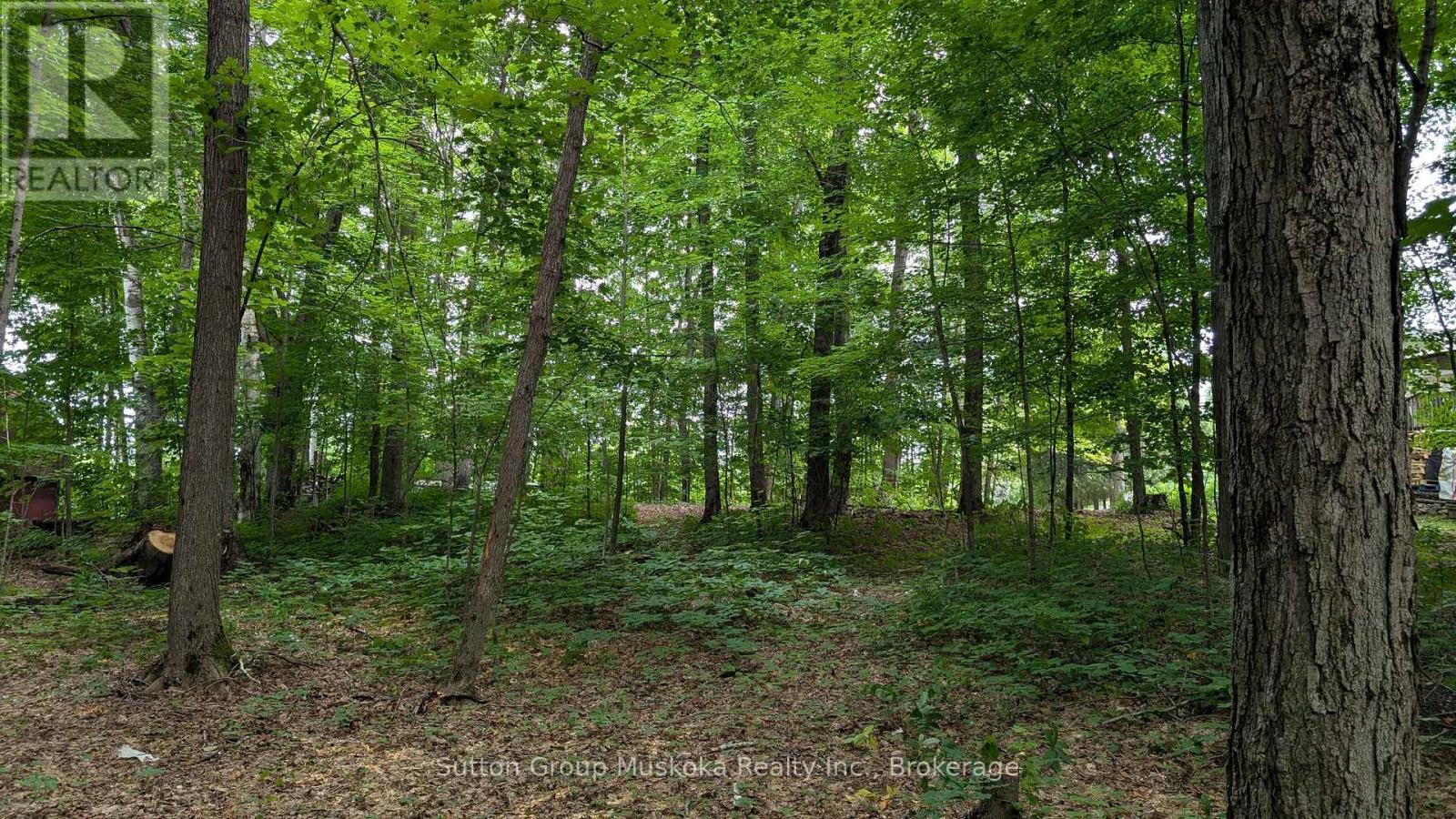 837 Aspdin Road, Huntsville (Chaffey), ON