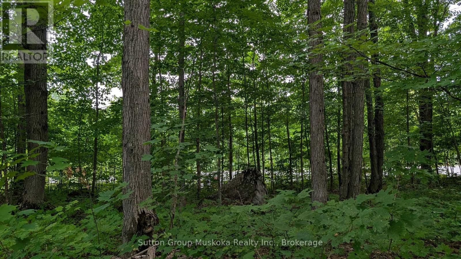 837 Aspdin Road, Huntsville (Chaffey), ON