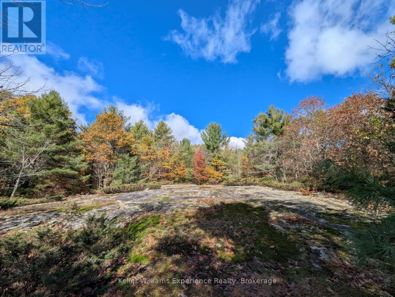 clearing end of roadside foot path - 0 Langford Road, Lake Of Bays (Mclean), ON