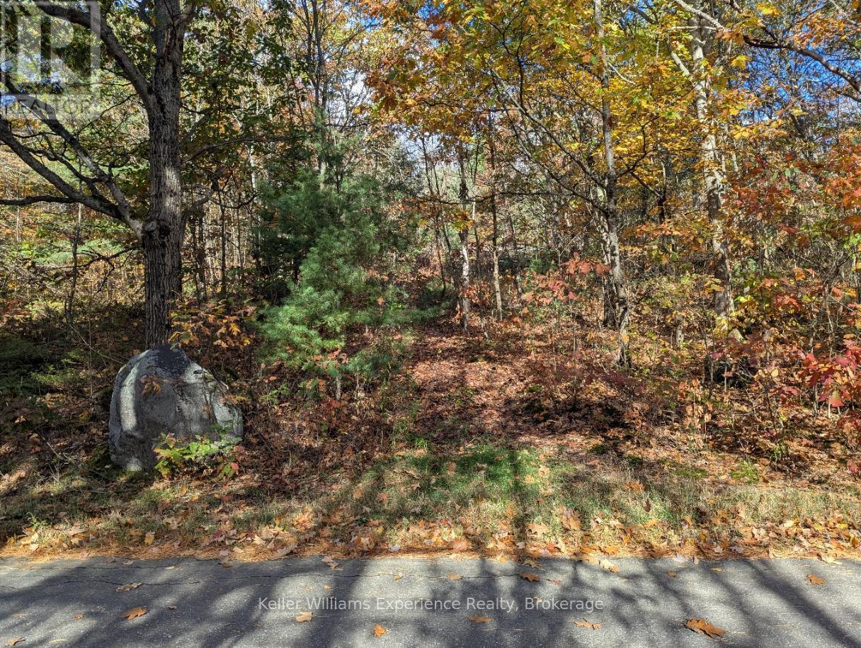 entrance to foot path - 0 Langford Road, Lake Of Bays (Mclean), ON