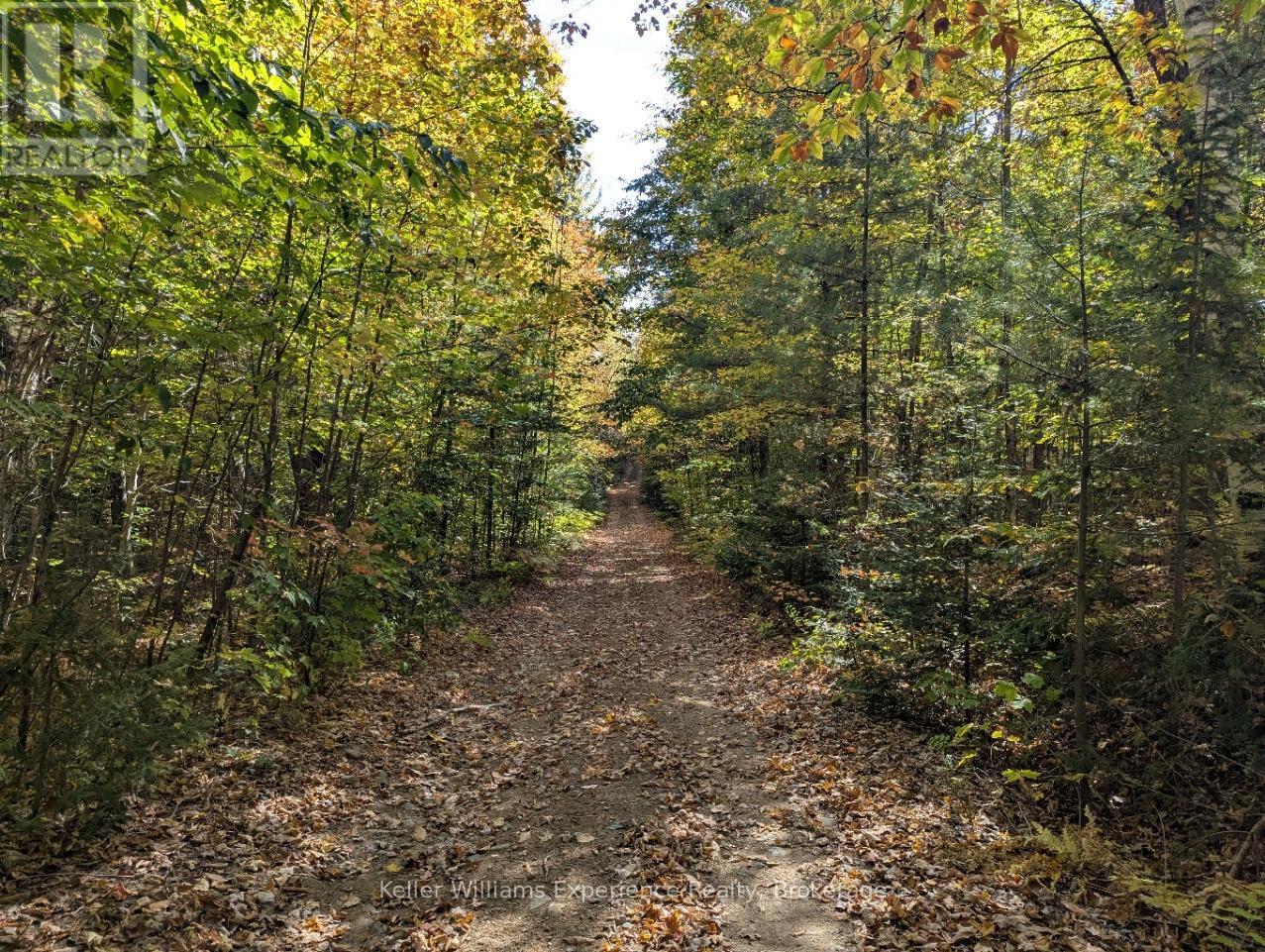 road allowance - 0 Langford Road, Lake Of Bays (Mclean), ON