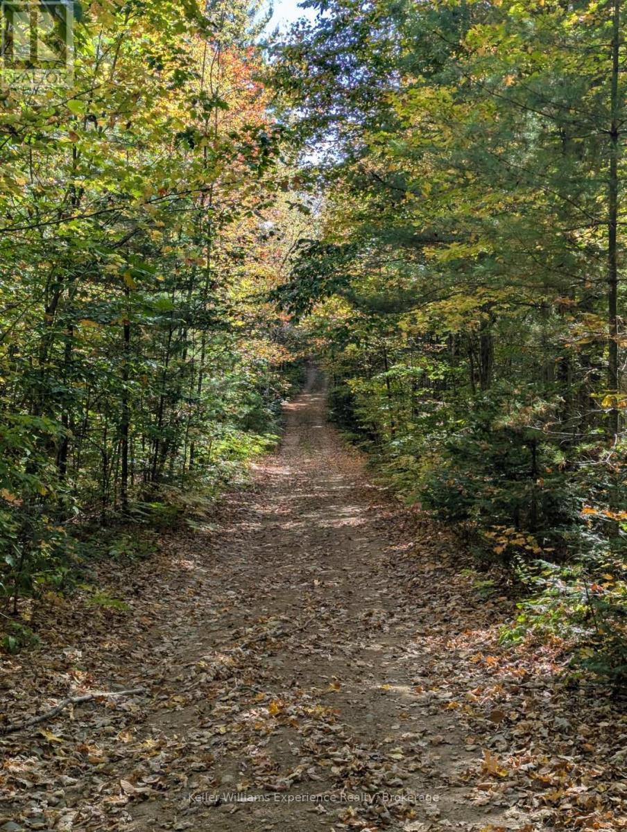 road allowance to back of the property - 0 Langford Road, Lake Of Bays (Mclean), ON