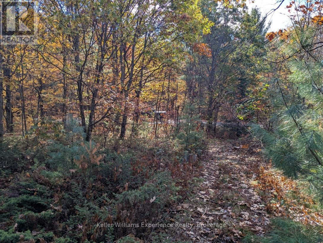 foot path - 0 Langford Road, Lake Of Bays (Mclean), ON