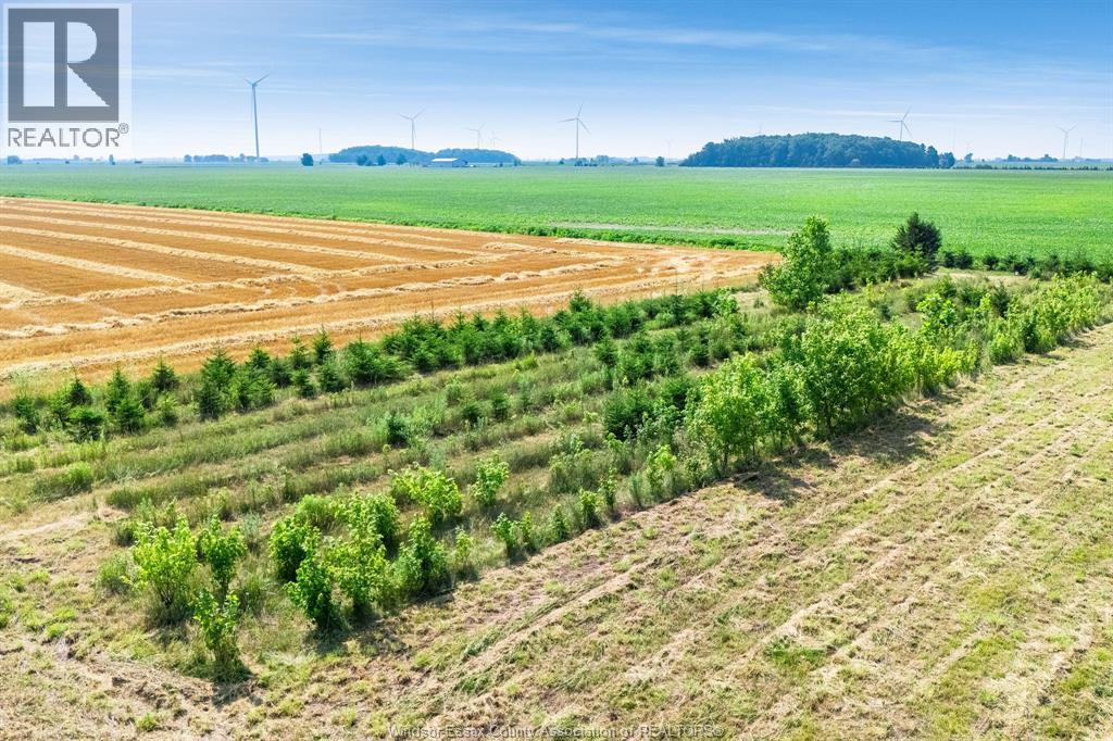 10350 Richardson Sideroad, Tilbury West, ON - Outdoor With View