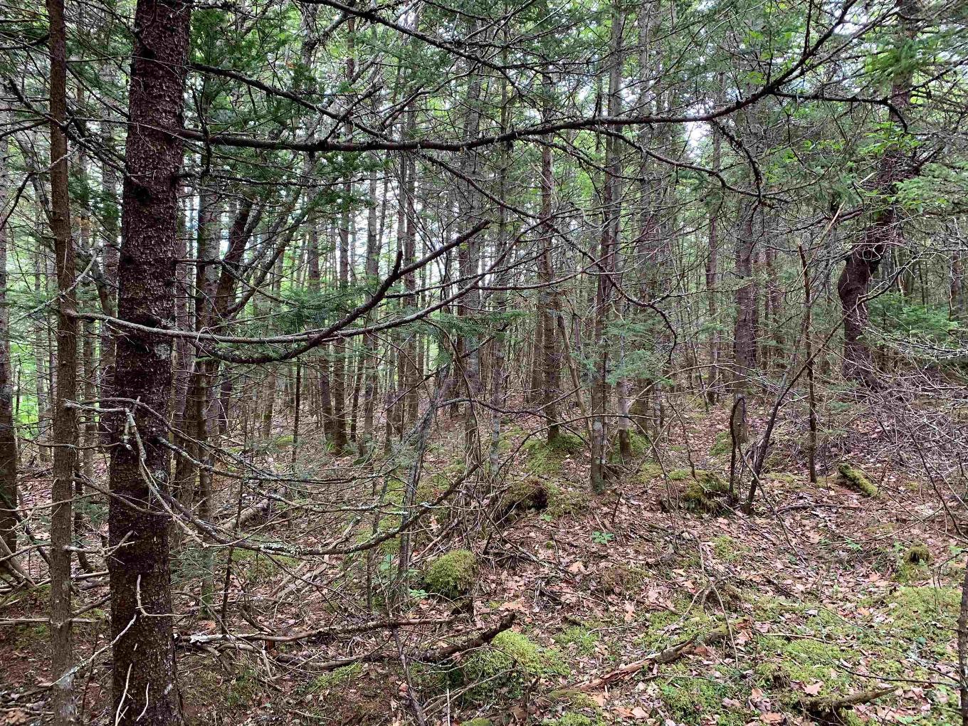 34 Balsam Street, Beechville, NS