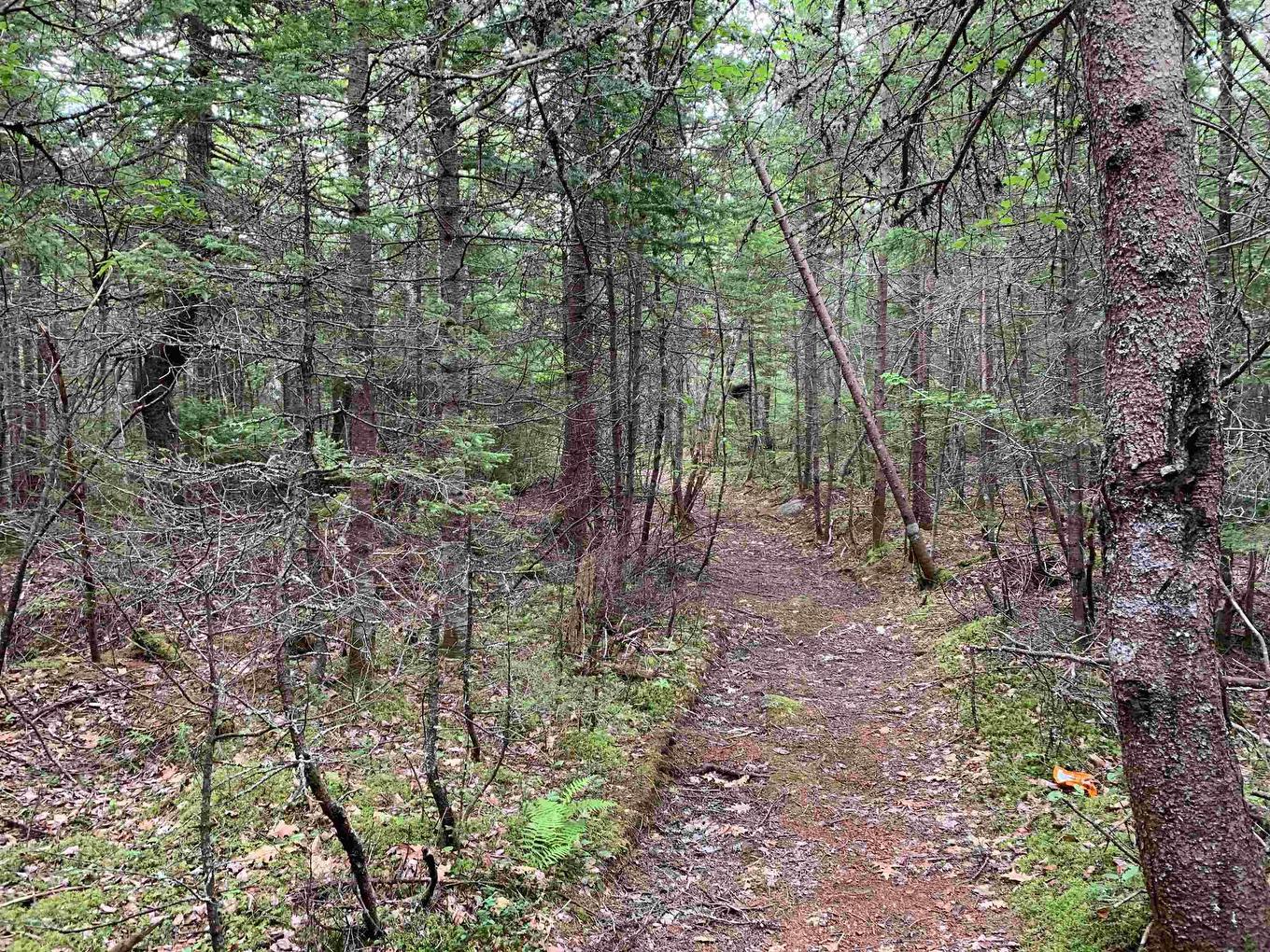 34 Balsam Street, Beechville, NS