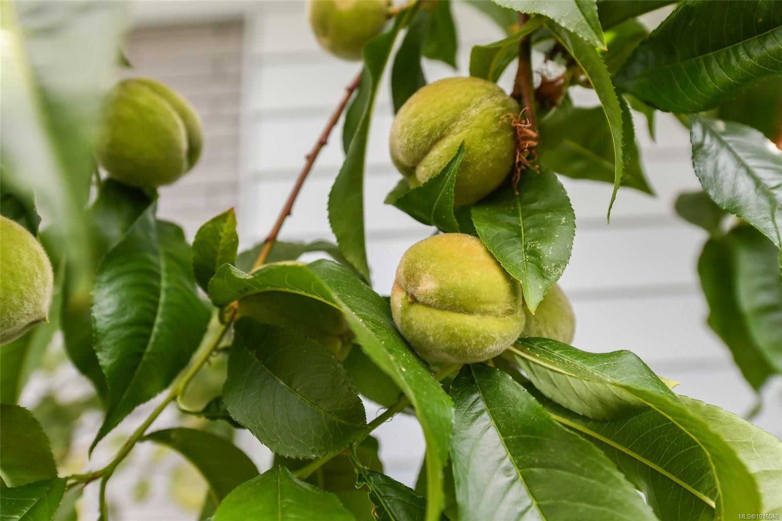 4740 Island Hwy North, Courtenay, BC