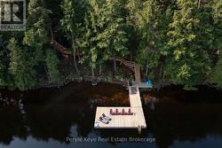 Expansive Dock & Uncrowded Shoreline -