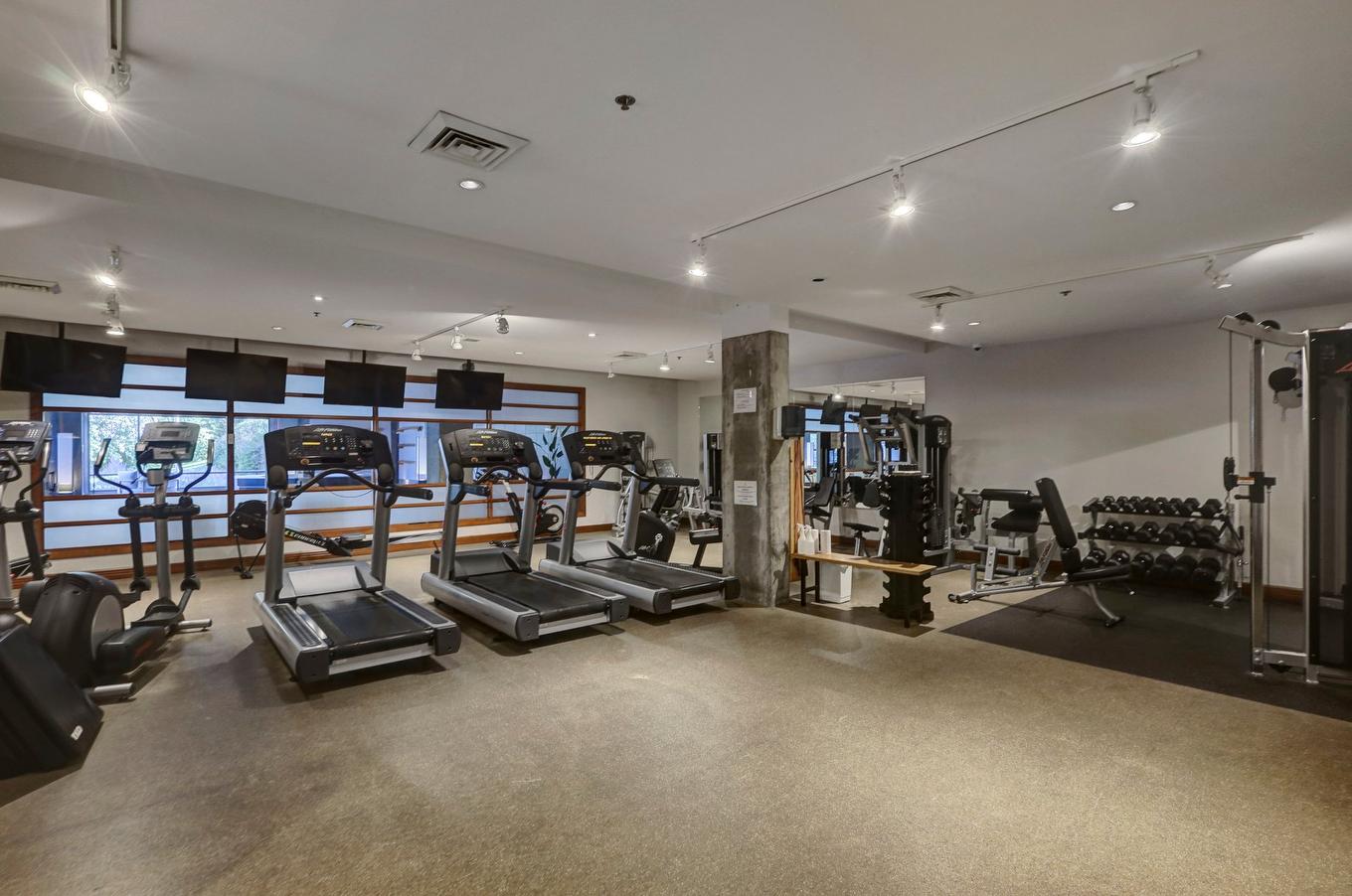 Salle d'exercice - 1407-100 Av. Des Sommets, Montréal (Verdun/Île-Des-Soeurs), QC - Indoor Photo Showing Gym Room