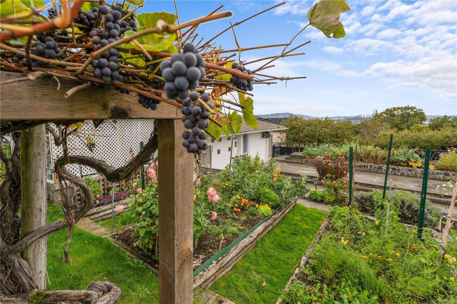 609 Milton St, Nanaimo, BC