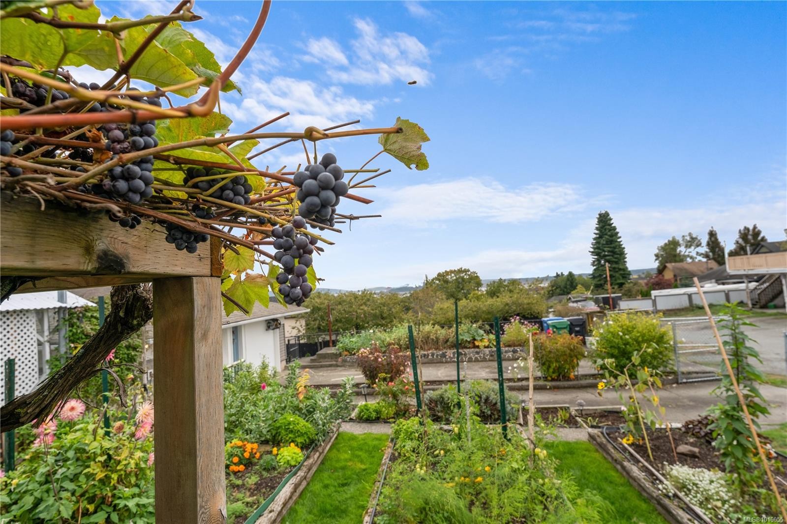 609 Milton St, Nanaimo, BC