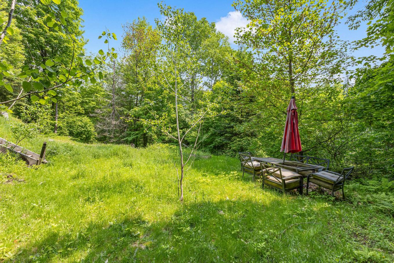 Cour - 3004 Rue D'Arosa, Val-David, QC - Outdoor