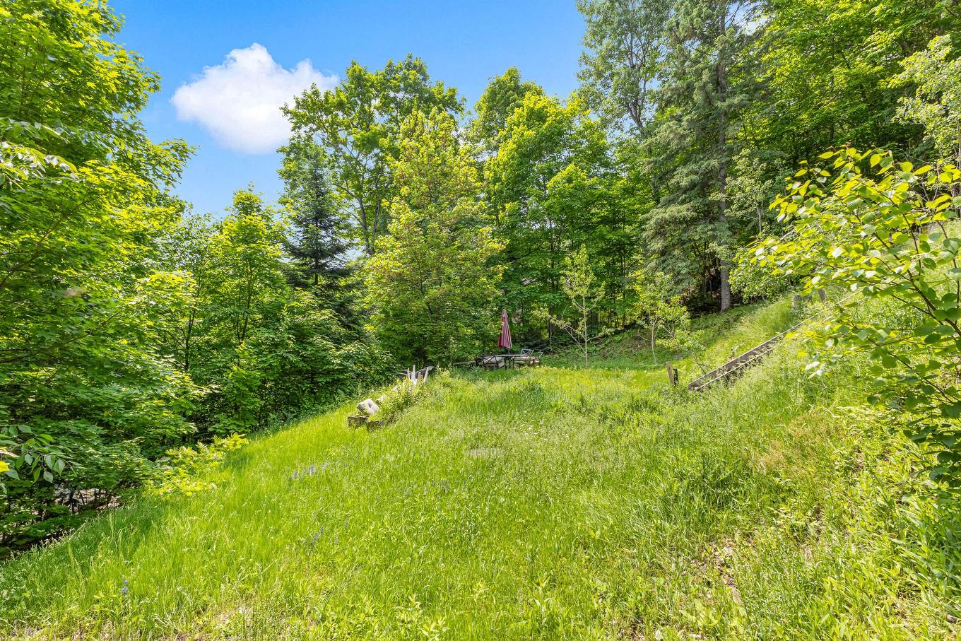 Cour - 3004 Rue D'Arosa, Val-David, QC - Outdoor