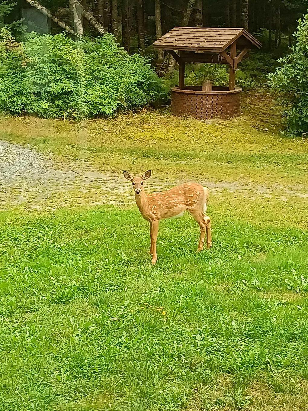 65 Shore Road, Mount Pleasant, NS