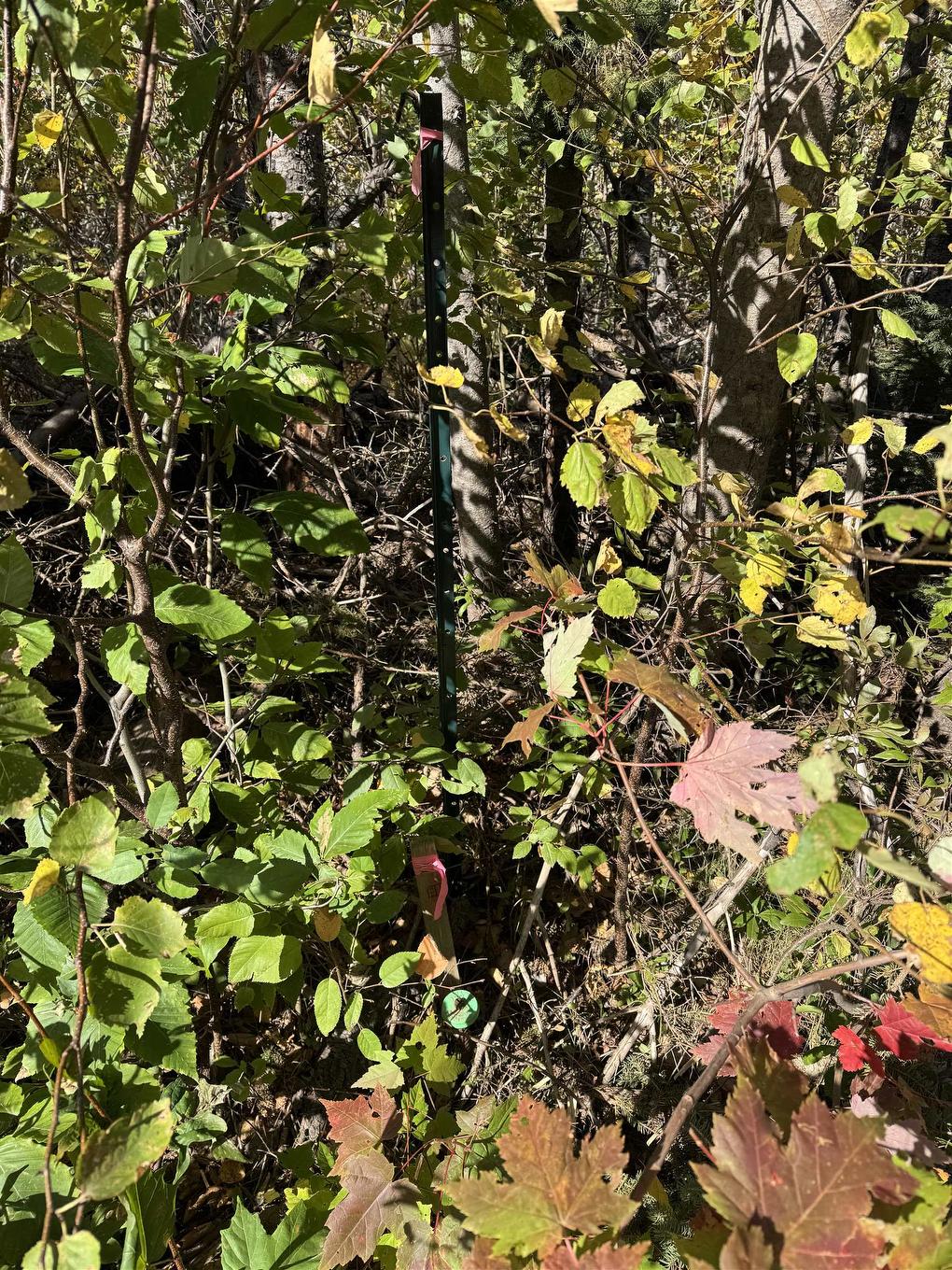 Lot 21-2 Black River Road, West Covehead, PE