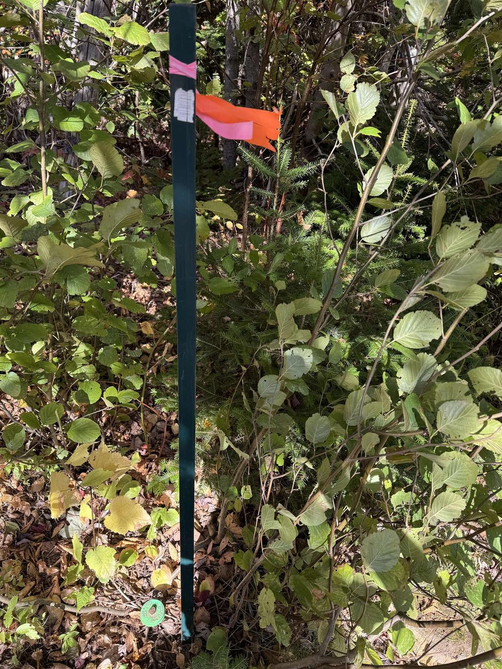 Lot 21-2 Black River Road, West Covehead, PE