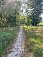 Imagine This as Your Life -