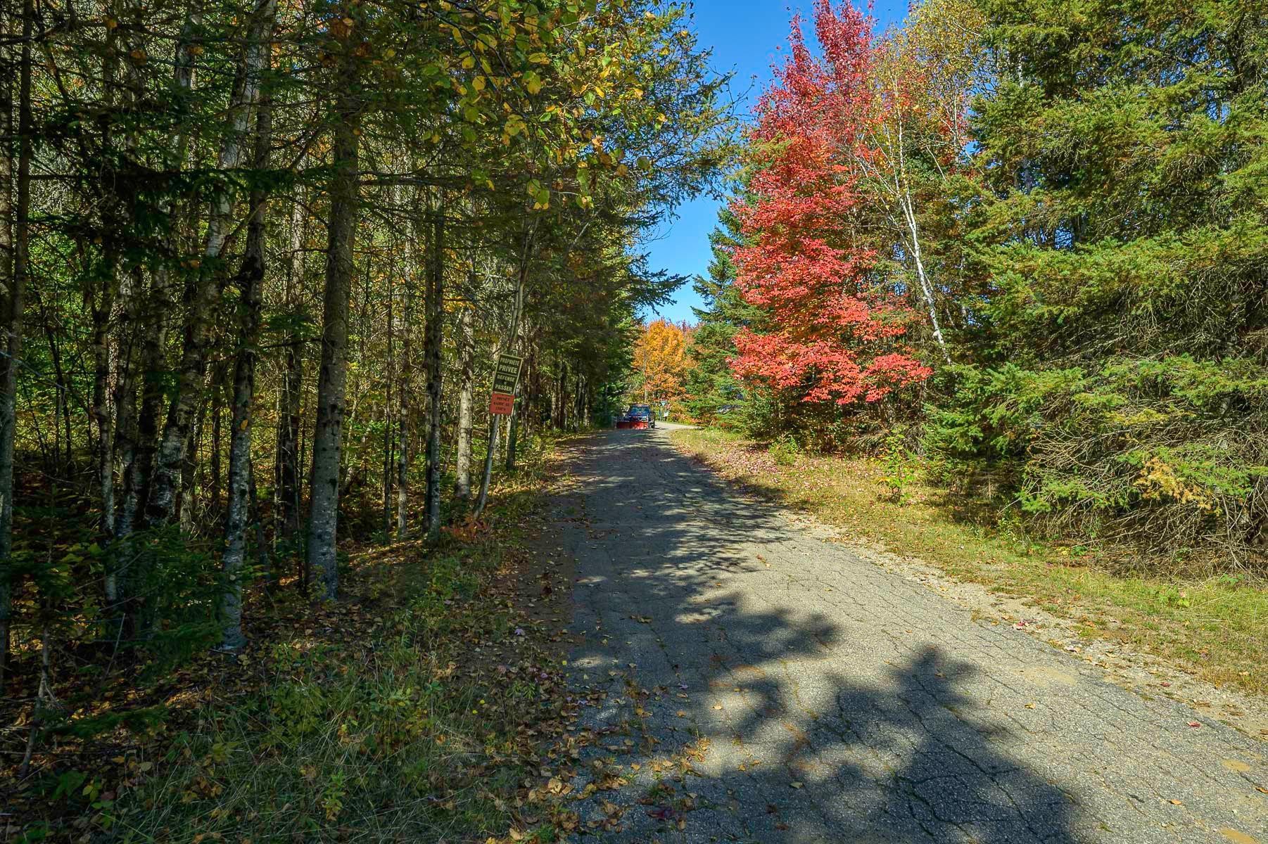 Terre/Terrain - 677 - 679 Route 117, Mont-Blanc, QC