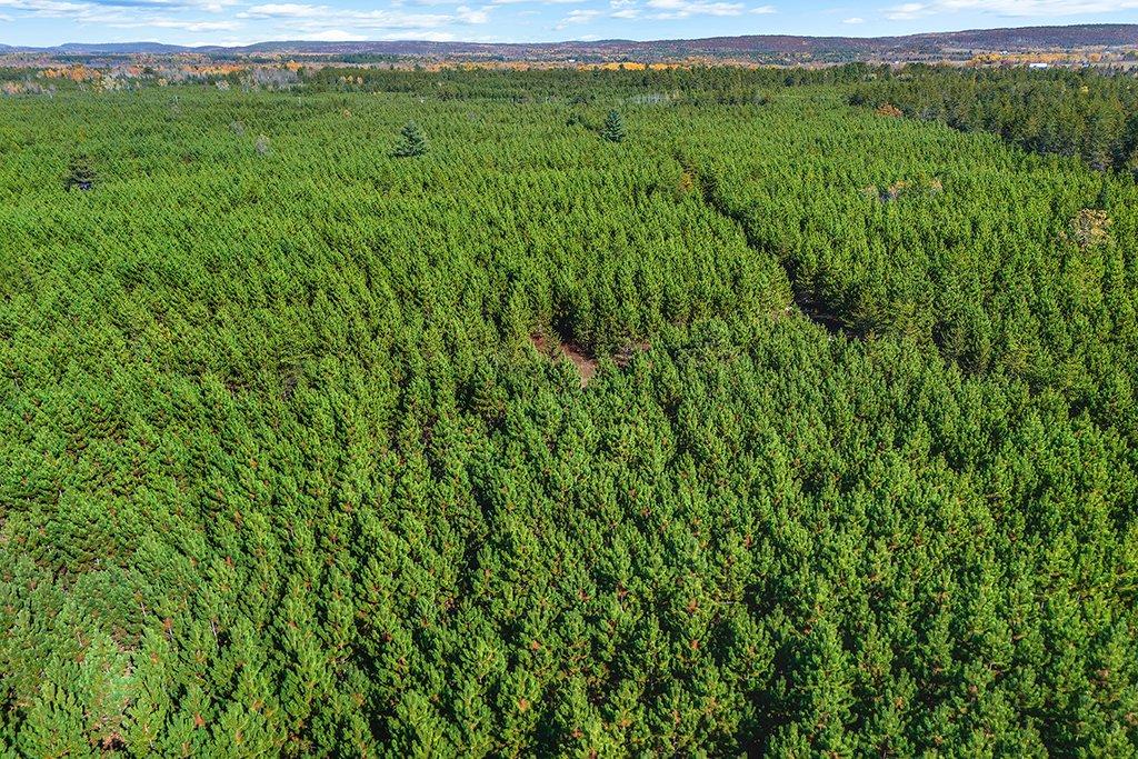 Overall view - Ch. Des Outaouais, L'Île-Du-Grand-Calumet, QC