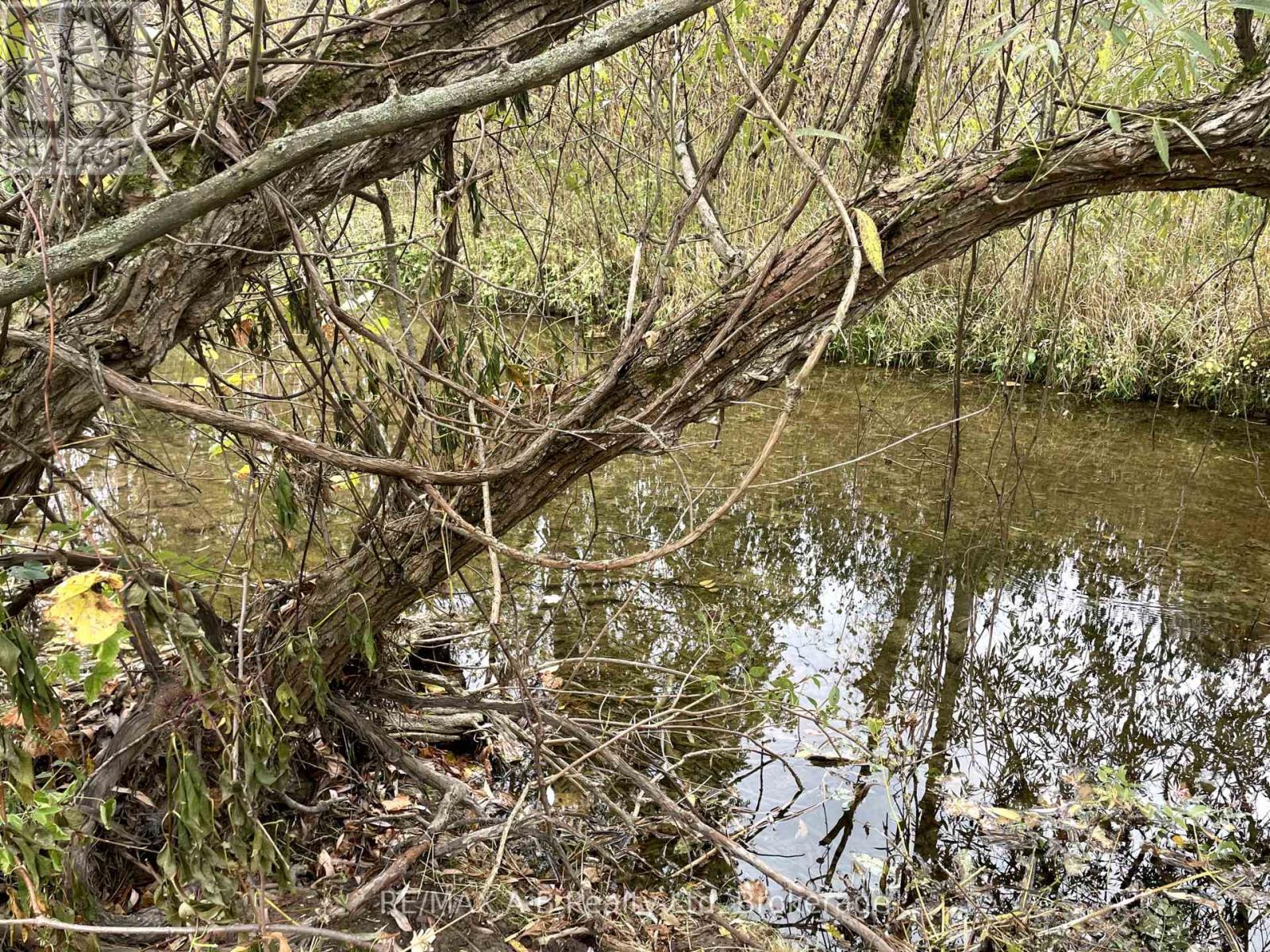 12096 Gale Road, North Middlesex (Carlisle), ON -