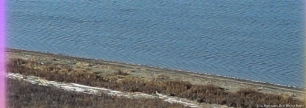 731 Pointe Aux Carr Rd, Napan, NB