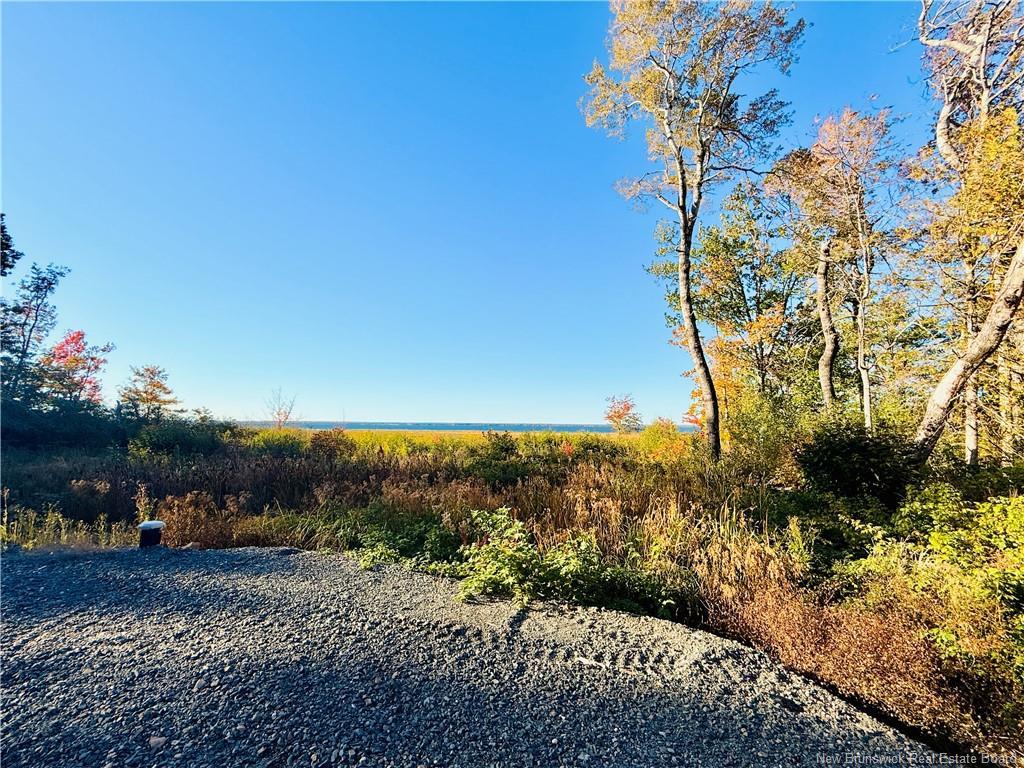 731 Pointe Aux Carr Rd, Napan, NB