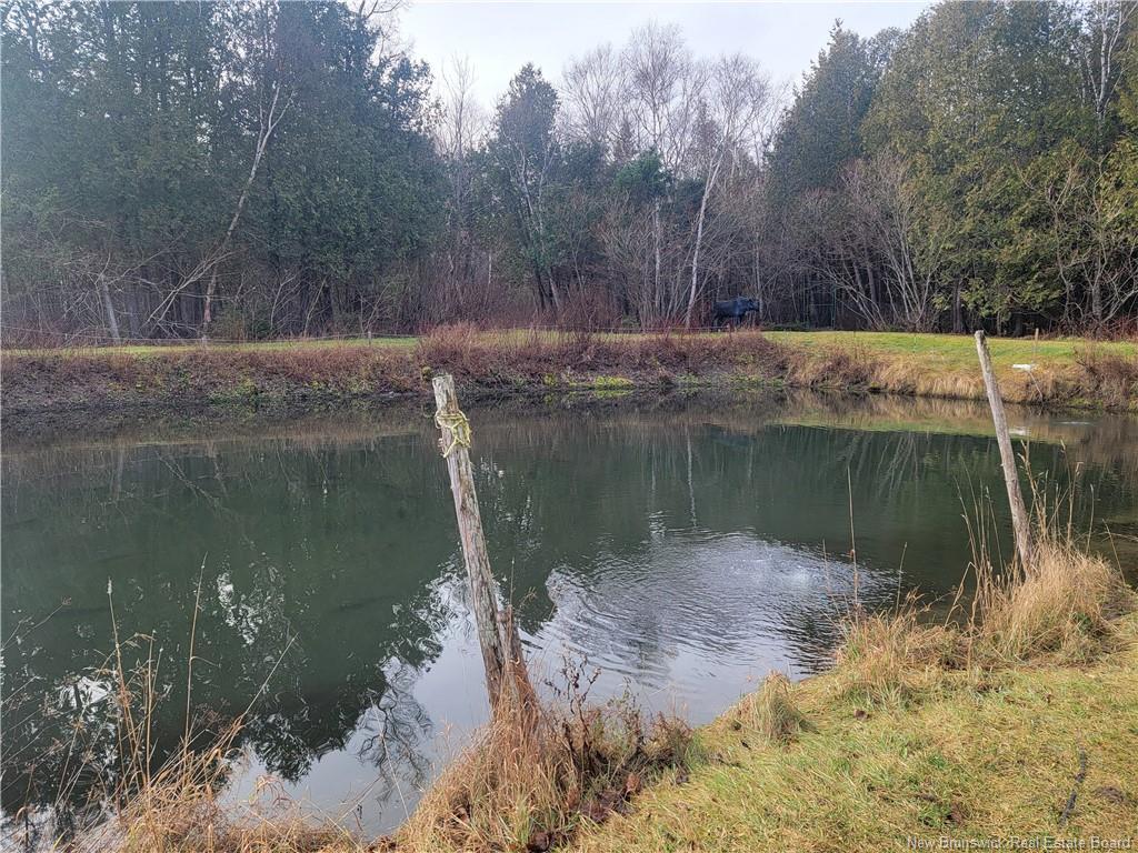 91 Des Ormes, Petit-Rocher-Nord, NB