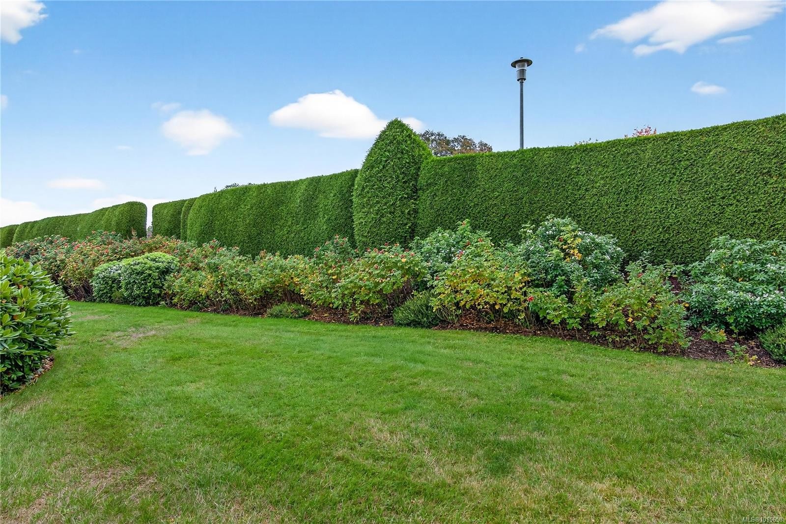 21-4318 Emily Carr Dr, Saanich, BC