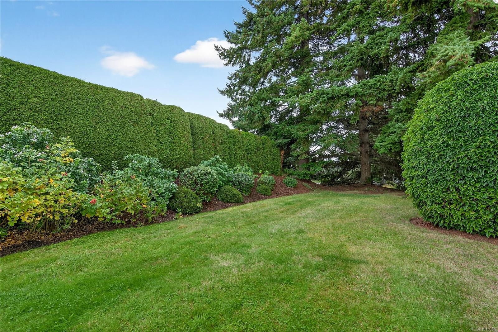 21-4318 Emily Carr Dr, Saanich, BC