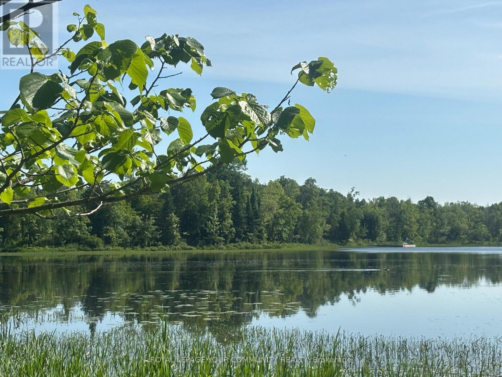 81 Stoney Road, Mckellar, ON