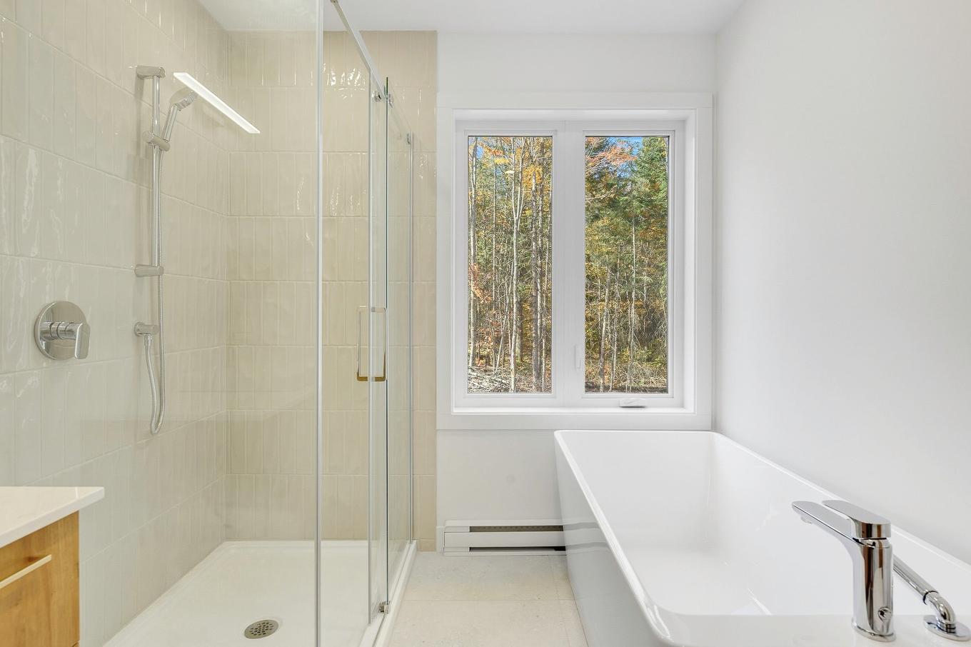 Salle de bains - 1801 Ch. Domaine Sur Le Lac, Sainte-Lucie-Des-Laurentides, QC - Indoor Photo Showing Bathroom