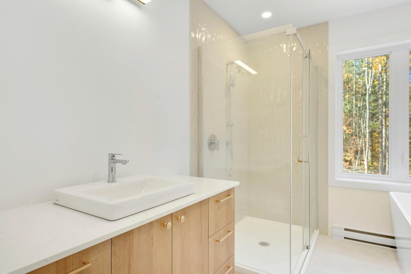 Salle de bains - 1801 Ch. Domaine Sur Le Lac, Sainte-Lucie-Des-Laurentides, QC - Indoor Photo Showing Bathroom