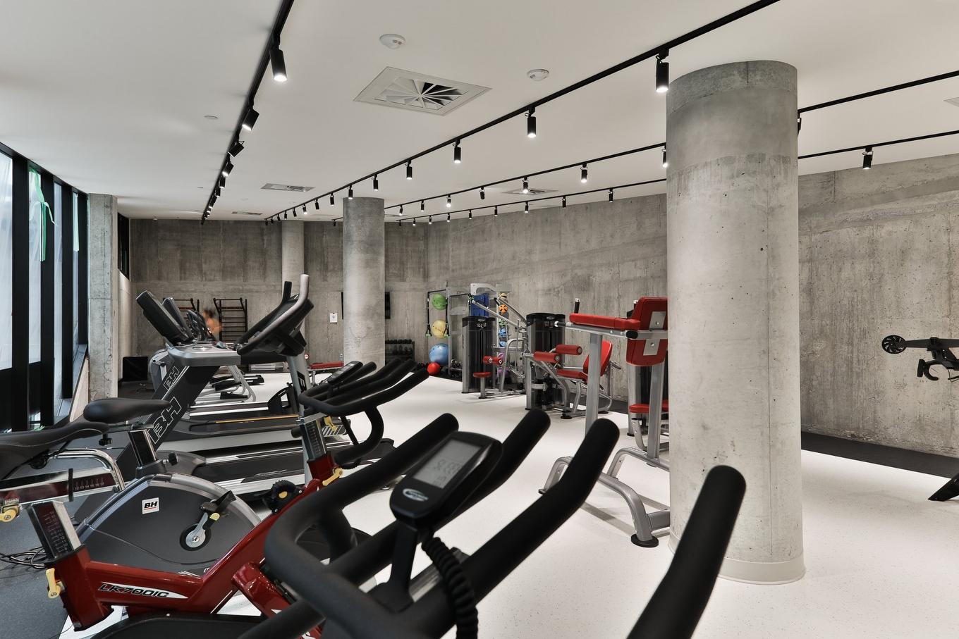 Exercise room - 222A-1550 Rue Des Bassins, Montréal (Le Sud-Ouest), QC - Indoor