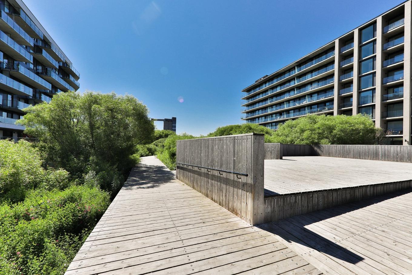 View - 222A-1550 Rue Des Bassins, Montréal (Le Sud-Ouest), QC - Outdoor