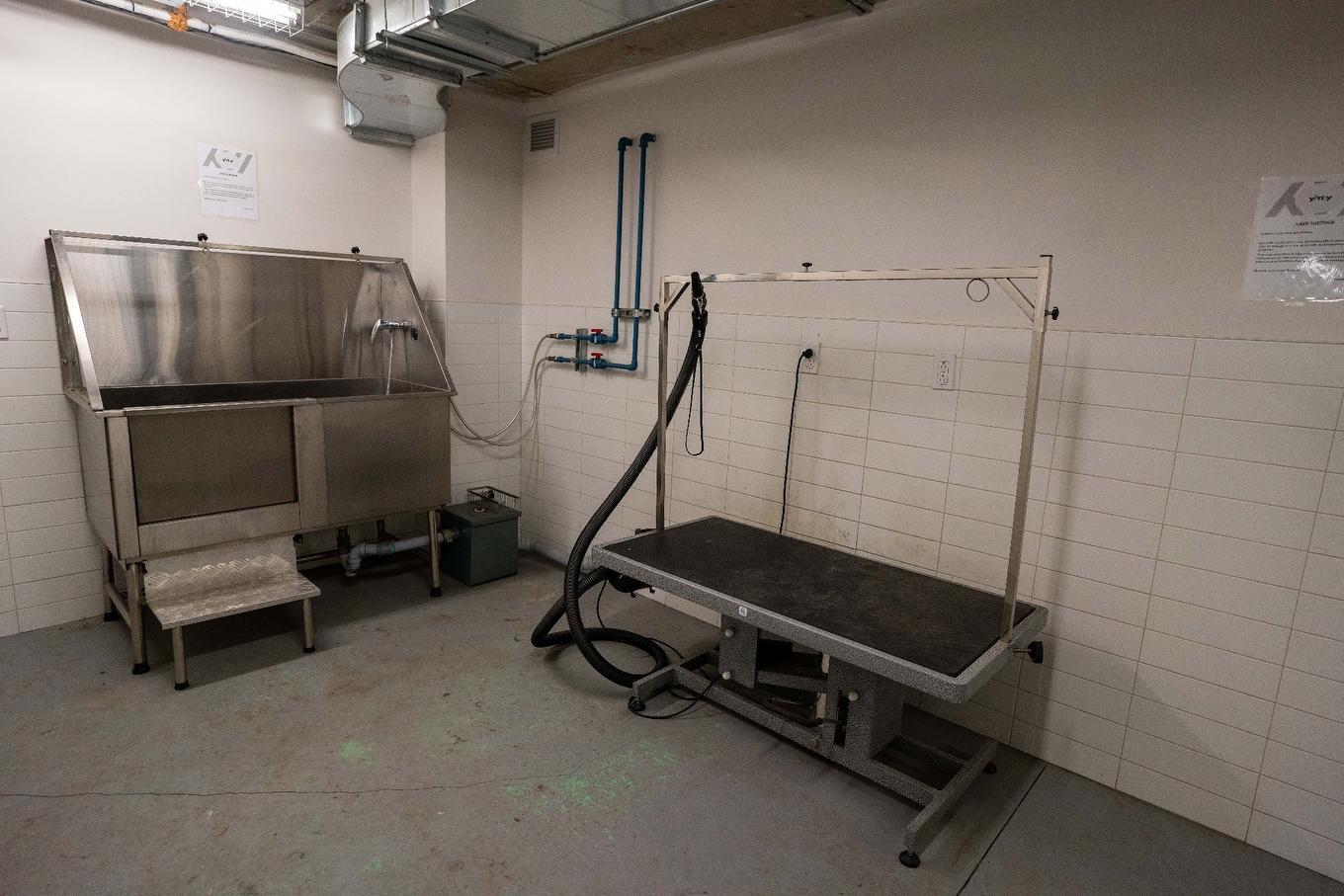 Autre - 223-2542 Place Pierre-Falardeau, Montréal (Rosemont/La Petite-Patrie), QC - Indoor