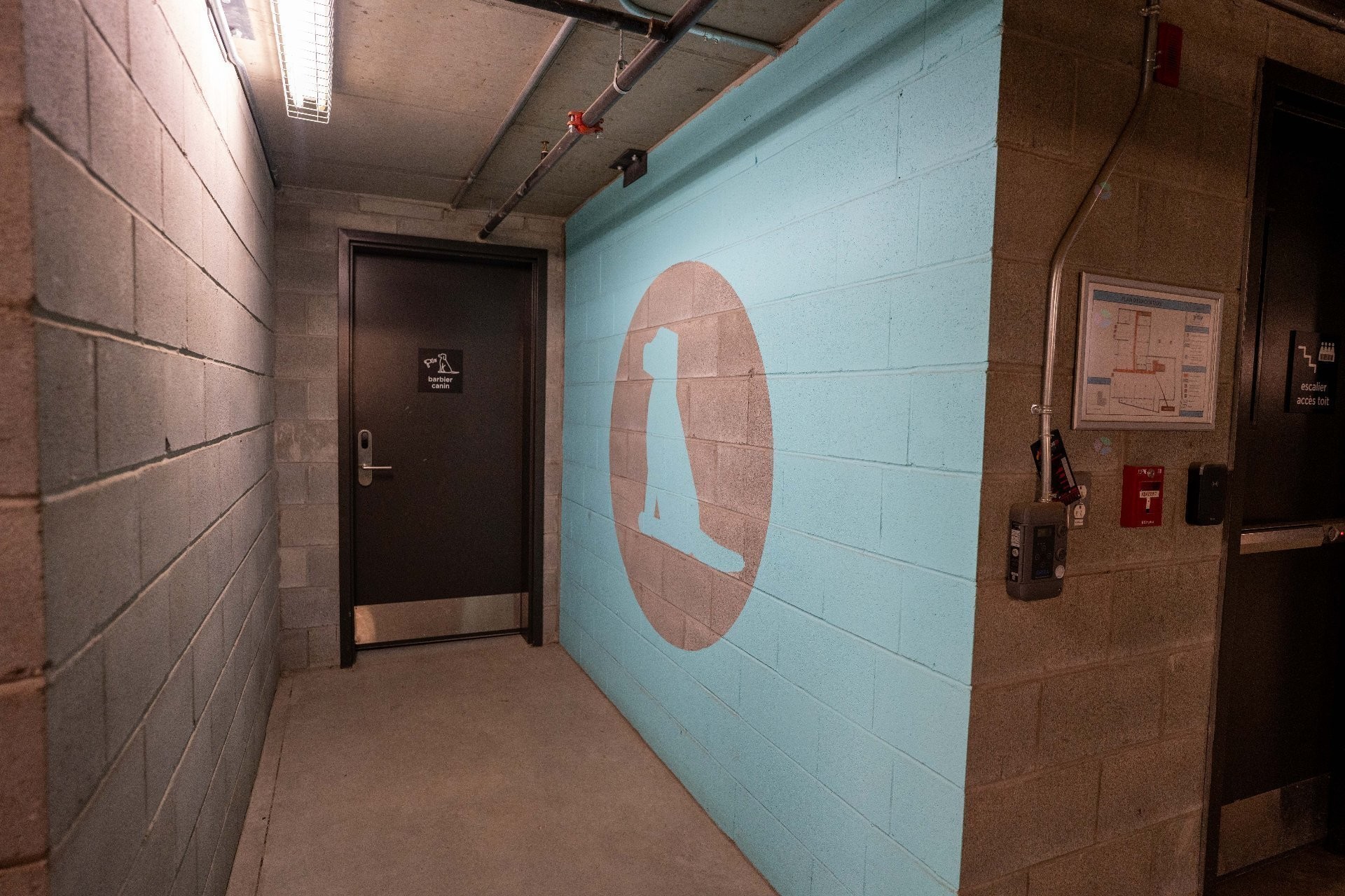 Autre - 401-2542 Place Pierre-Falardeau, Montréal (Rosemont/La Petite-Patrie), QC - Indoor