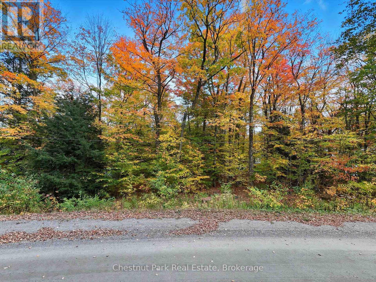 0 North Menominee Lake Road, Lake Of Bays (Mclean), ON