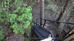 Stairs leading to the water's edge -