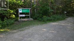 On the Bruce Trail and No Exit Road -