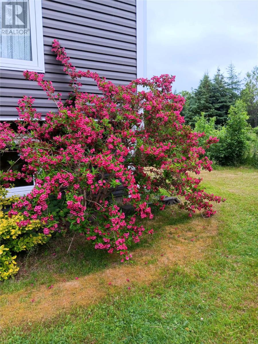 93 Forest Road, Conception Bay South, NL - Outdoor